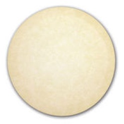 12" Orbiter Pad