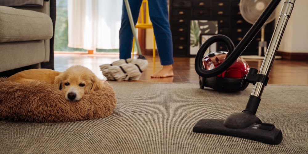 Vacuum Cleaner for Spring Cleaning